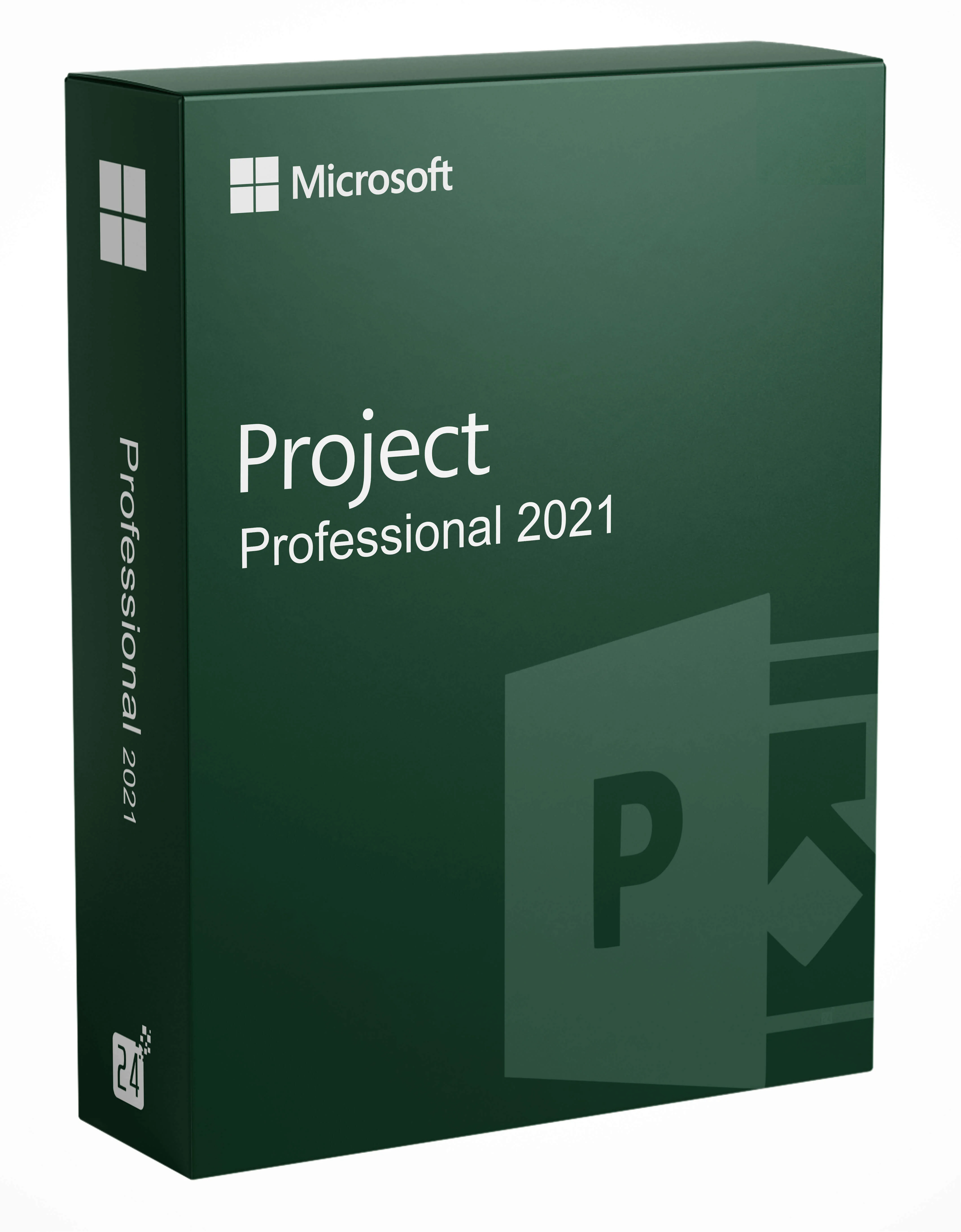 Project 2021 Professional