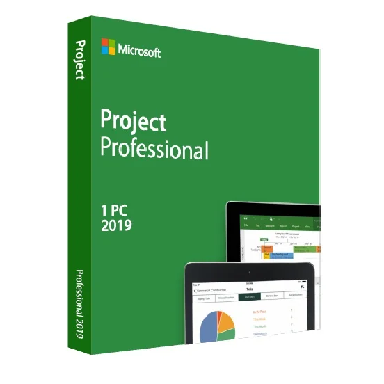 Project 2019 Professional