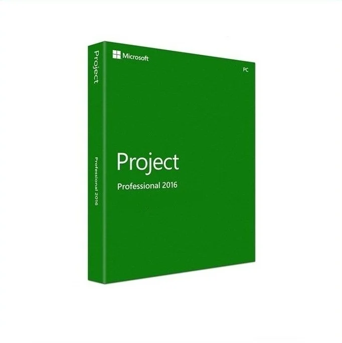 Project 2016 Professional